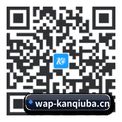 APP 安卓 二维码